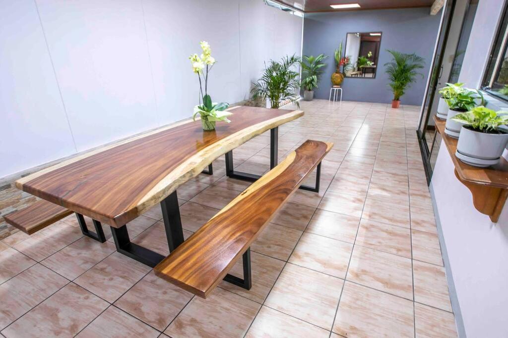 Buganvilia Fortuna Centro *